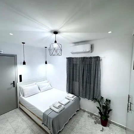 Spartan Nest Modern Cozy