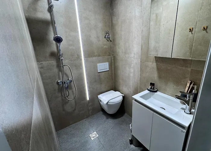 Spartan Nest Modern Cozy Daire