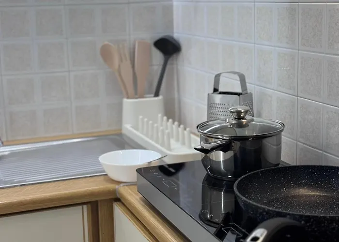 Spartan Nest Modern Cozy *